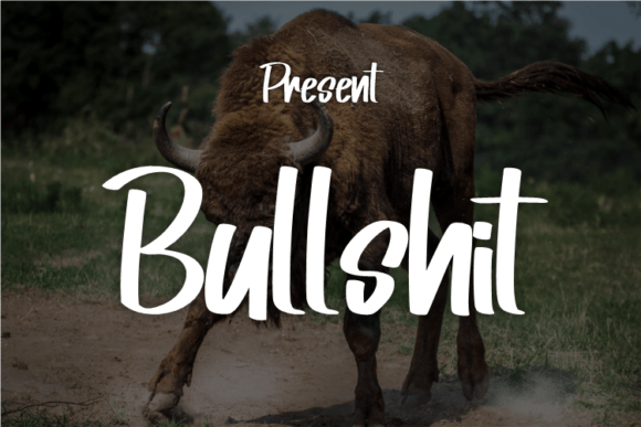 Bullshit Font: Modern Script for Elegant Design