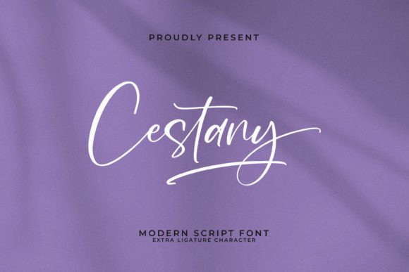Cestany Font for Business Branding