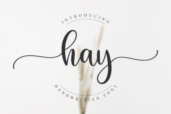 Hay: A Script Font for Elegant Branding