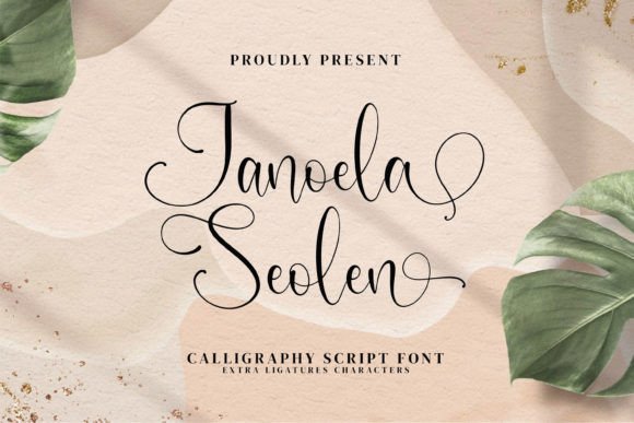 Janoela Seolen Font Review
