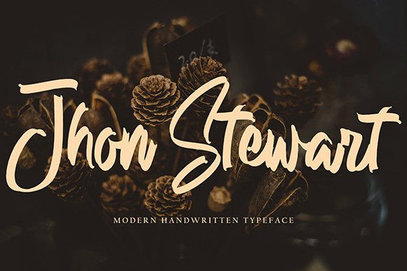 Jhon Stewart Font: Modern Handwritten Elegance