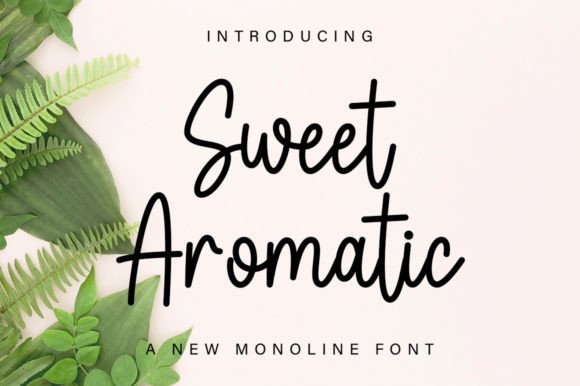 Sweet Aromatic Font for Business Branding